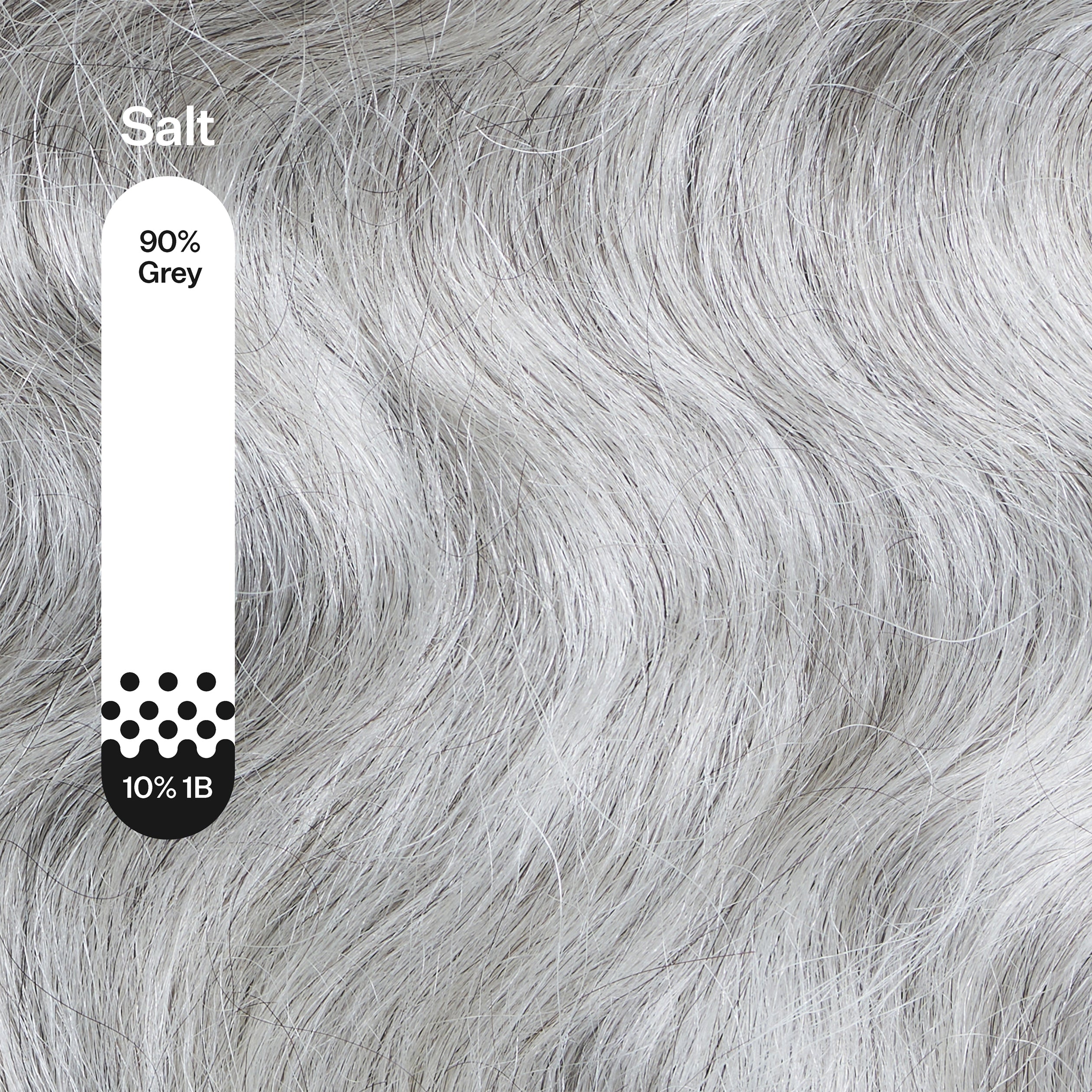 GreyScale Body Wave Clip-ins