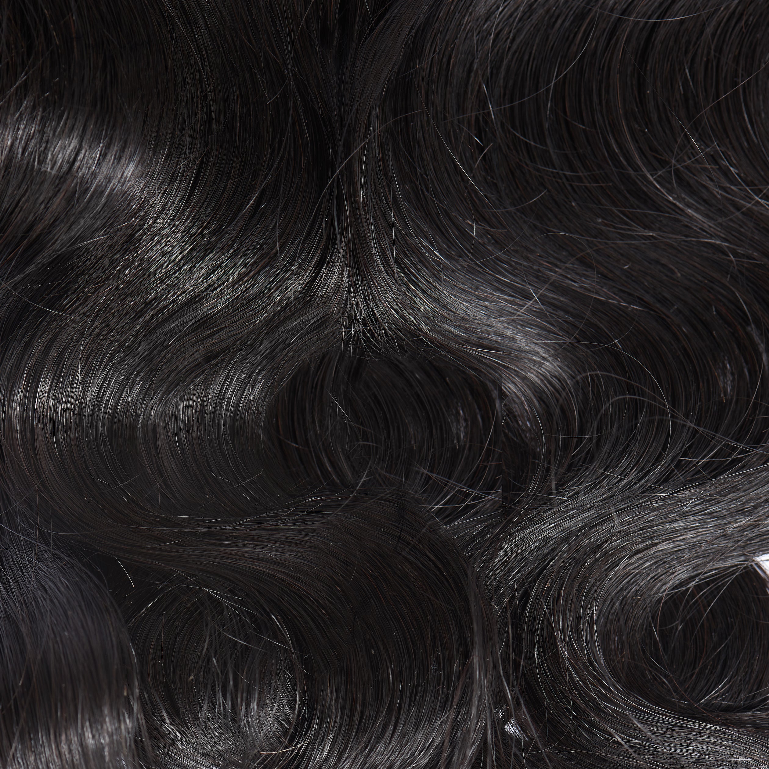 The Body Wave Bundle